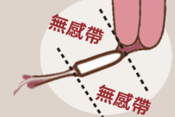 【健康教育冷知識】第一集：原來陰道只有前三公分有感覺？
