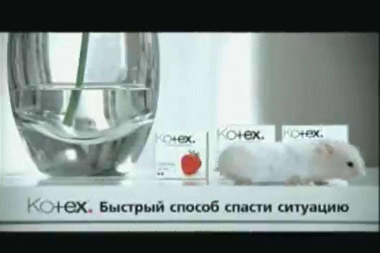 Kotex電視廣告 ╴拯救小老鼠篇