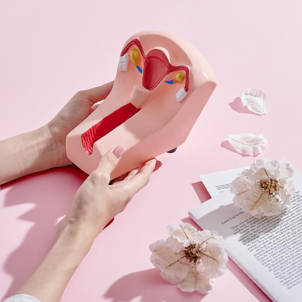 605762143 18501239329078107 2292399431051493566 N