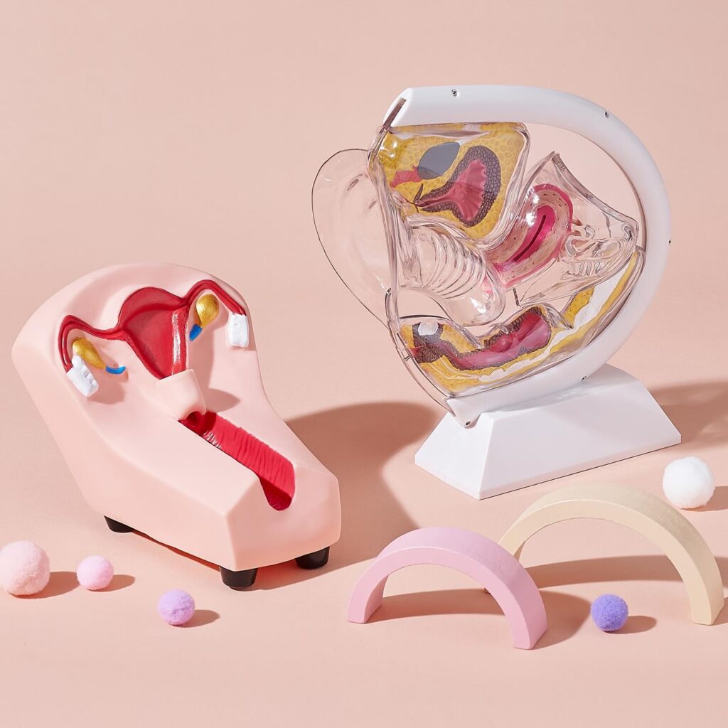 607567009 18501239308078107 7725698977426923917 N