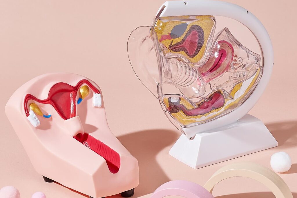 一組教具，讓孩子真正理解身體與選擇