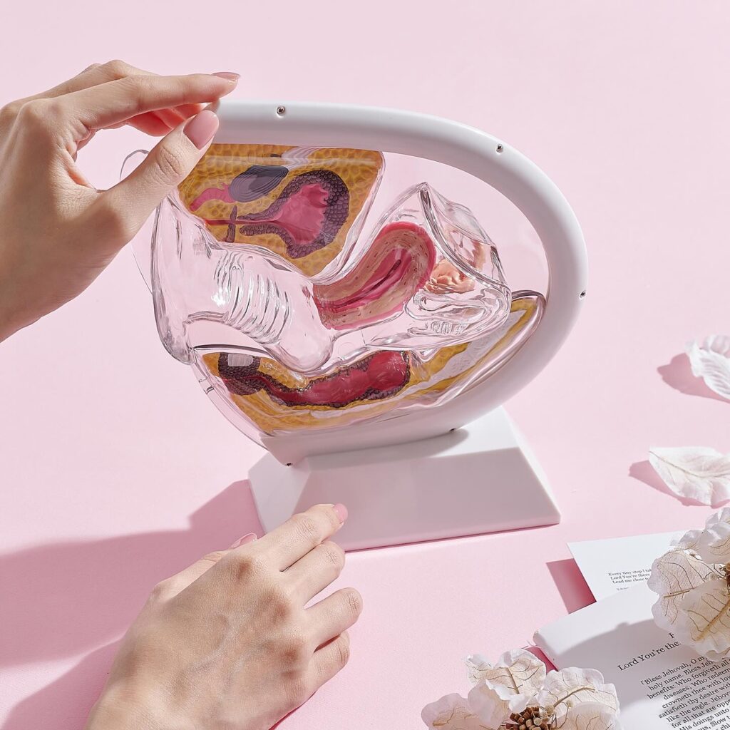 608826219 18501239338078107 723773540062075604 N