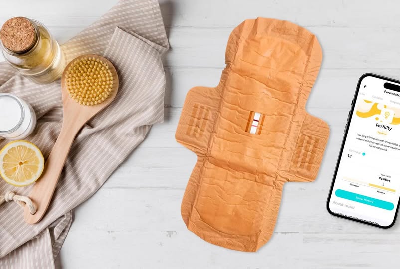 613043868 18502930840078107 2655559246834091379 n